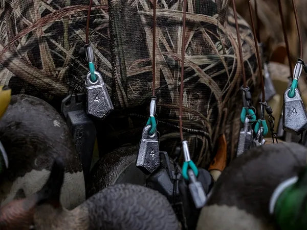 timber rigs