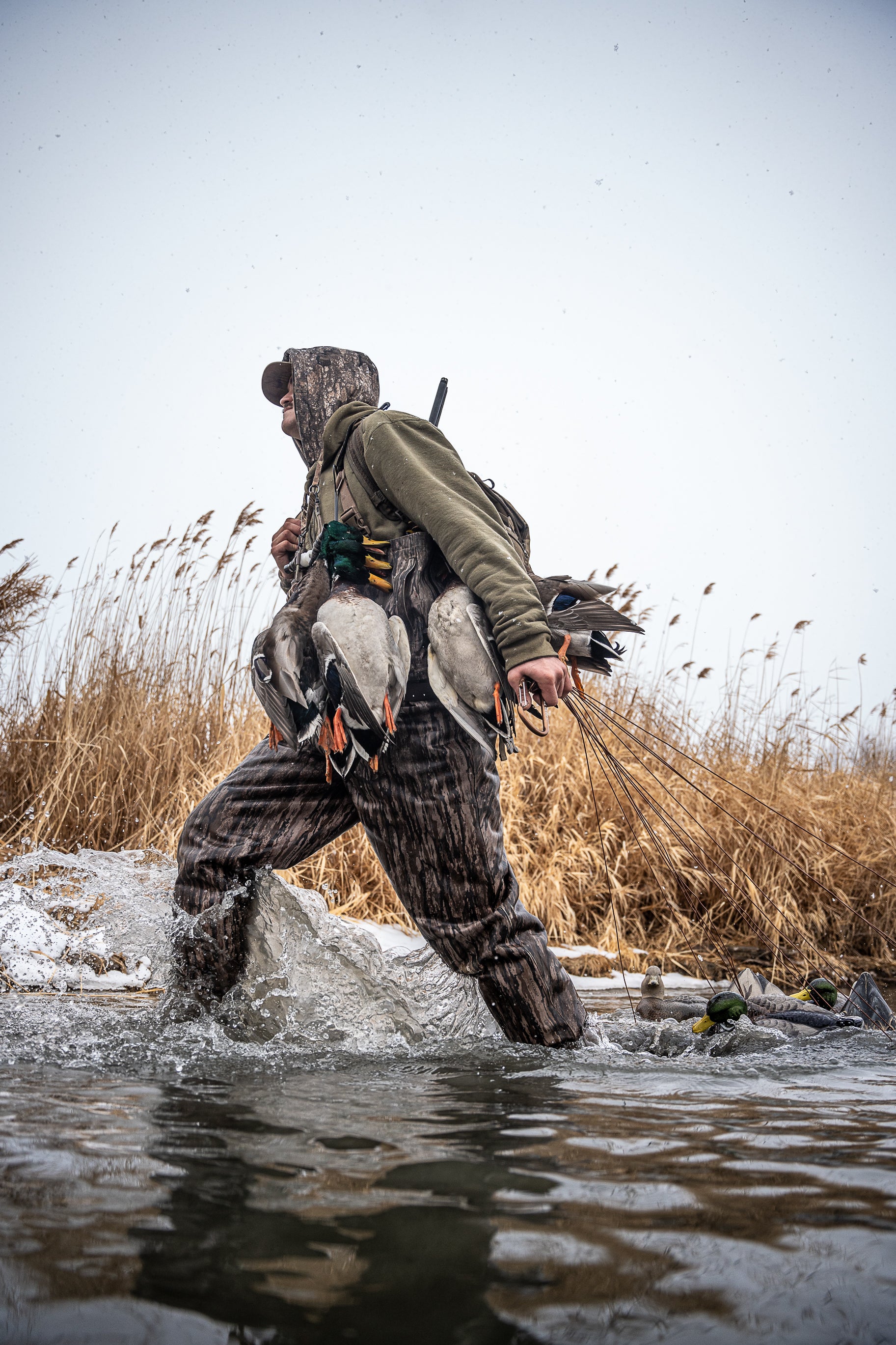 EZ DEKES In The Field | EZ DEKES – EZDEKES